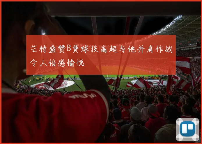 芒特盛赞B费球技高超与他并肩作战令人倍感愉悦
