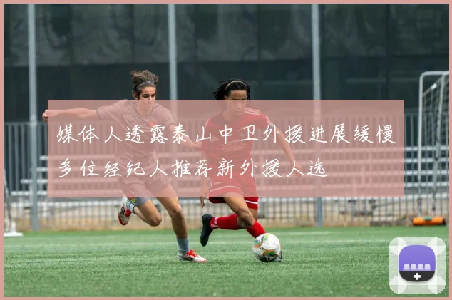 媒体人透露泰山中卫外援进展缓慢多位经纪人推荐新外援人选